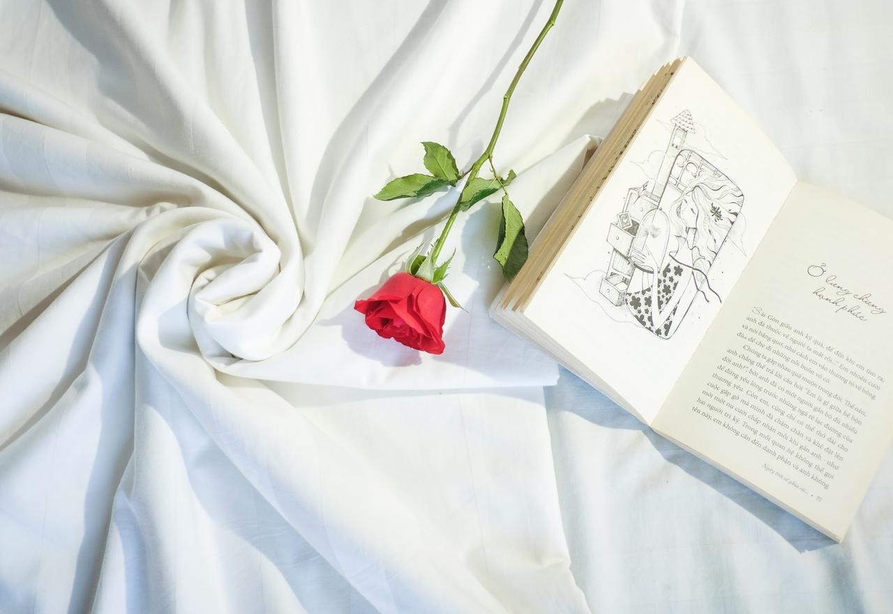 بيت شباب دولا مدينة هوشي منه المظهر الخارجي الصورة